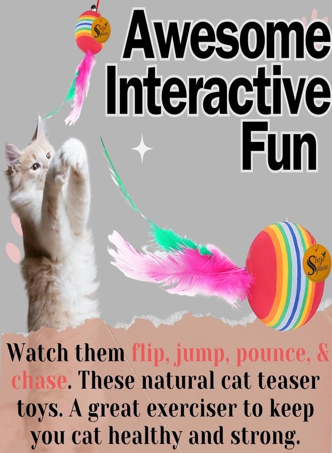 Sage Square Cat, Kitten Teaser Stick - Interactive Cat Toy with Feather, Bell, String for Playtime Fun, Exercise & Engage Your Cat’s Natural Hunting Instincts, Exciting & Safe Teaser Toy (Type 1) - Image 5